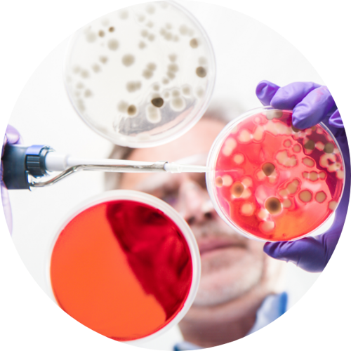 Individual in life sciences industry working in a lab