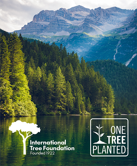 International Tree Foundation and One Tree Planted logos over a photo of trees